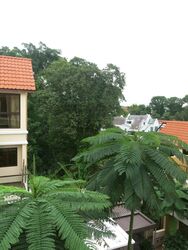 Eleven @ Holland (D10), Terrace #320649601
